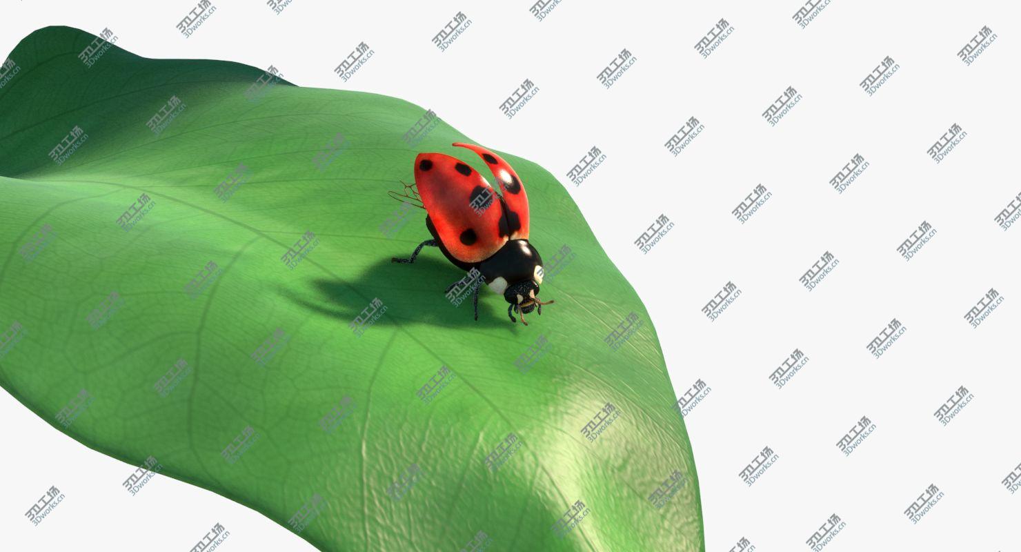 images/goods_img/2021040234/Ladybug Rigged Animated/2.jpg